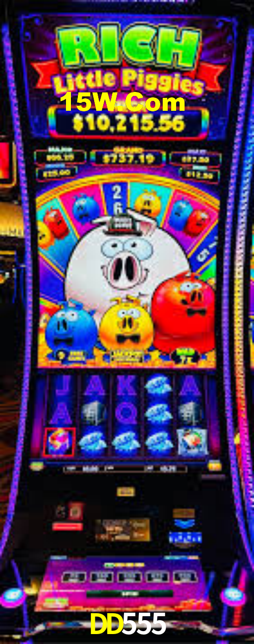 Explore as vantagens do DD555: serviço profissional e confiabilidade